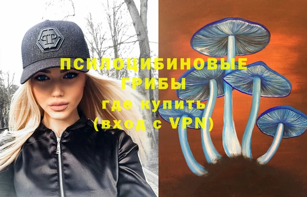 мдпв Покачи