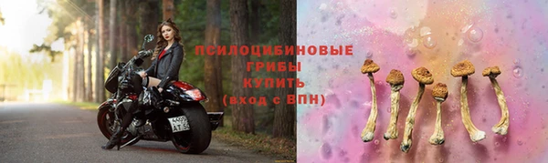 мдпв Покачи
