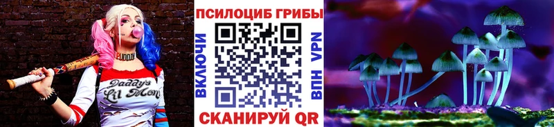 как найти закладки Россошь Псилоцибиновые грибы Psilocybine cubensis